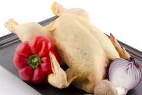 Pollo de Corral 2,80 Kg - Masmit