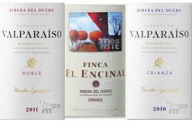 Pack Ribera del Duero - 2 Crianzas y 1 Roble Masmit