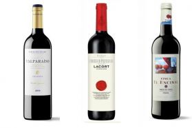 Pack Rioja y Ribera Crianzas - Lacort - Finca El Encinal - Valparaíso Crianza-Masmit