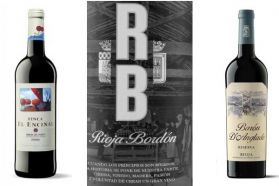 Lote Vinos 92 puntos y 94 puntos Rioja y Ribera: Finca El Encinal - Rioja Bordón Selección - Barón D´Anglade Reserva - Masmit