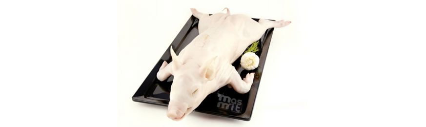 Cochinillo de Segovia